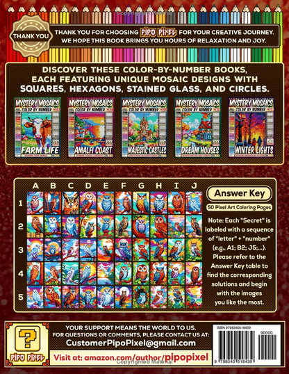50 Mysterious Owls - Mystery Mosaic Color by Number - Part: 12